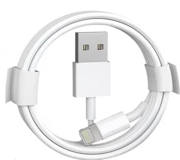 Câble USB vers Lightning 1m
