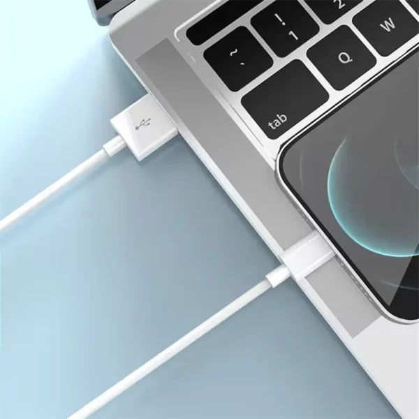 Câble USB vers Lightning 1m